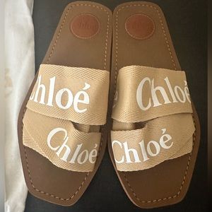 Chloe Woody slides
